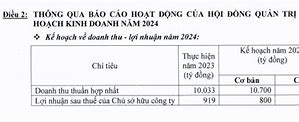 Báo Cáo Tài Chính Vhc 2024