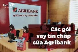 Các Chính Sách Cho Vay Của Agribank Hiện Nay Là Bao Nhiêu Tiền Florida