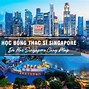 Học Thạc Sĩ Kinh Doanh Quốc Tế Tại Singapore