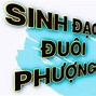 Ngón Tay Mắt Phượng