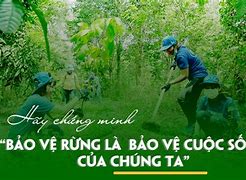 Người Được Song Hành Bảo Vệ Là Gì