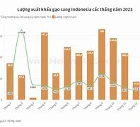 Tình Hình Xuất Khẩu Gạo Của Việt Nam 2023